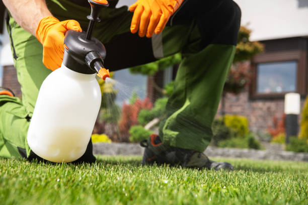  West Liberty, OH Pest Control Pros