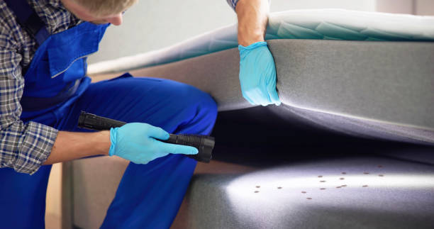 Best Best Pest Control Companies  in West Liberty, OH