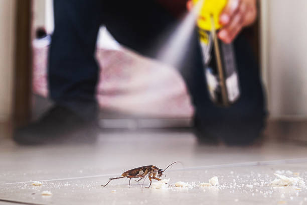 Best Termite Control Services  in West Liberty, OH